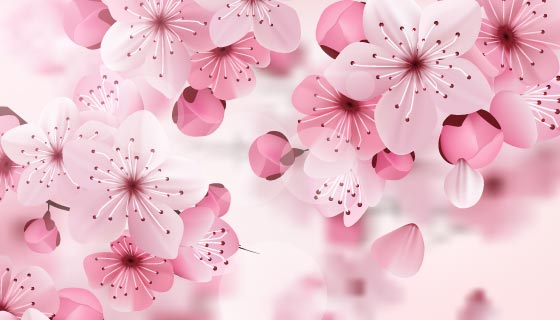 漂亮的粉红色樱花矢量素材(EPS)