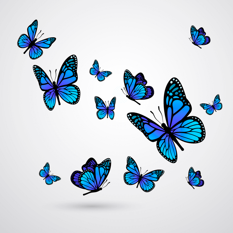 逼真漂亮的蓝色蝴蝶矢量素材(EPS/AI/免扣PNG)