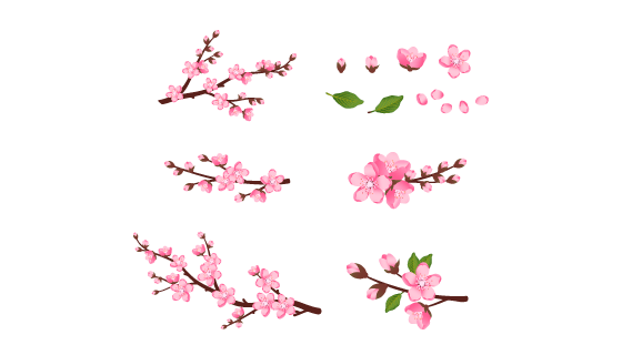 开满桃花的树枝和桃花花瓣矢量素材(EPS/免扣 PNG)