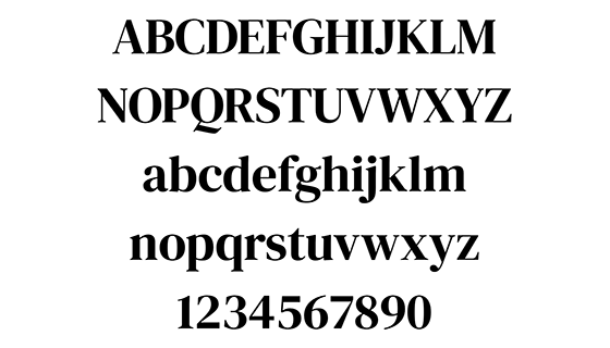 DM Serif Display 字体免费下载