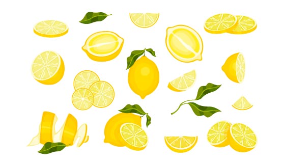 各种各样的柠檬矢量素材(EPS/免扣 PNG)