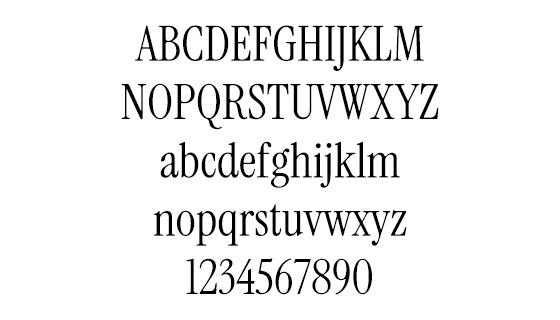 Instrument Serif 字体免费下载