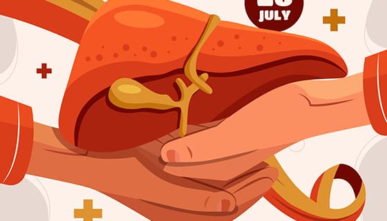 双手捧着的肝脏设计世界肝炎日矢量素材(AI/EPS)