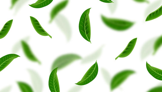 绿色清新茶叶背景矢量素材(EPS/AI/PNG)