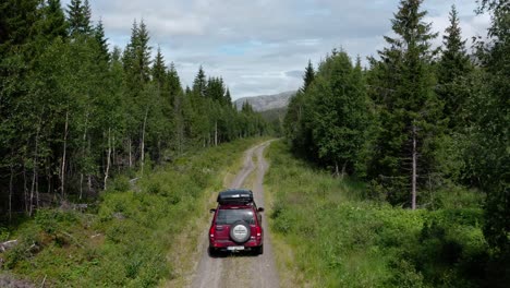 森林小路上缓慢行驶的红色 SUV 汽车