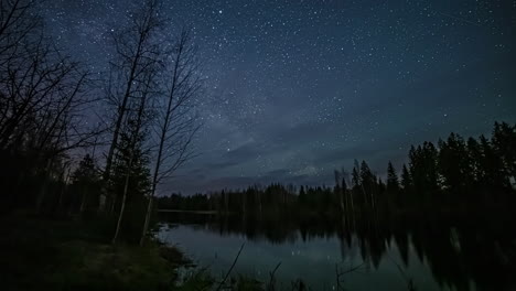 丛林湖泊上空的银河系星空延时摄影