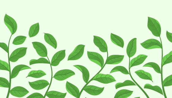 绿色清新茶叶背景矢量素材(EPS/AI/PNG)