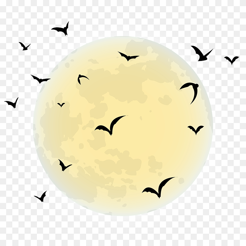 蝙蝠围绕月亮万圣节背景素材(免扣PNG)