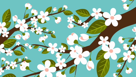 漂亮的白色樱花背景矢量素材(EPS/AI/PNG)