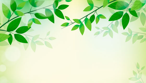 清新的绿色叶子背景矢量素材(EPS/AI)