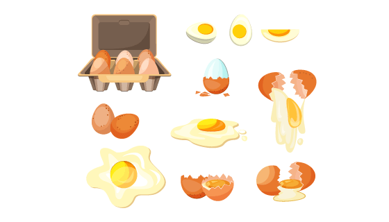 各种各样的鸡蛋矢量素材(EPS/PNG)