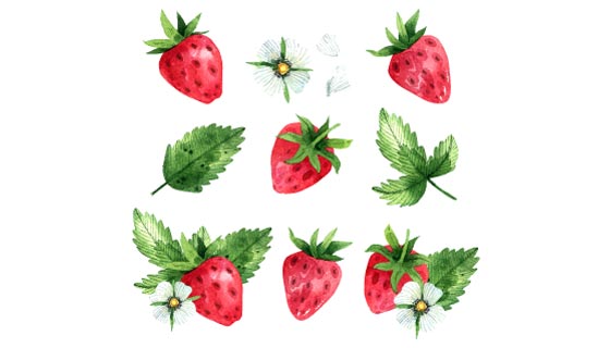 水彩草莓背景矢量素材(AI/EPS/PNG)