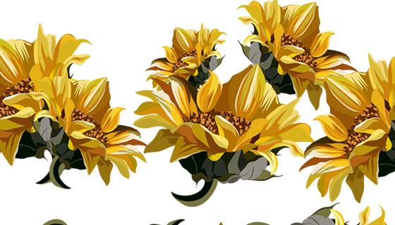 黄色花卉背景矢量素材(EPS)