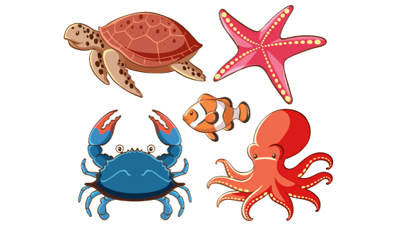 五种海洋动物矢量素材(EPS/PNG)