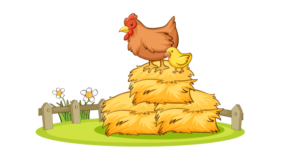 手绘草堆上的母鸡和小鸡矢量素材(EPS/PNG)