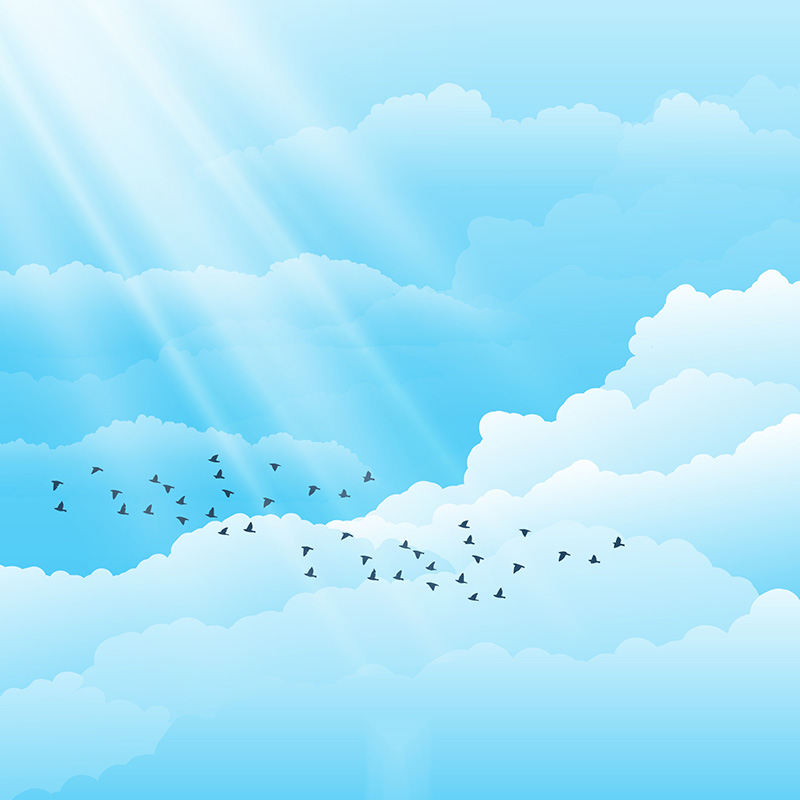 飞翔在天空白云中的鸟矢量素材(EPS/AI)