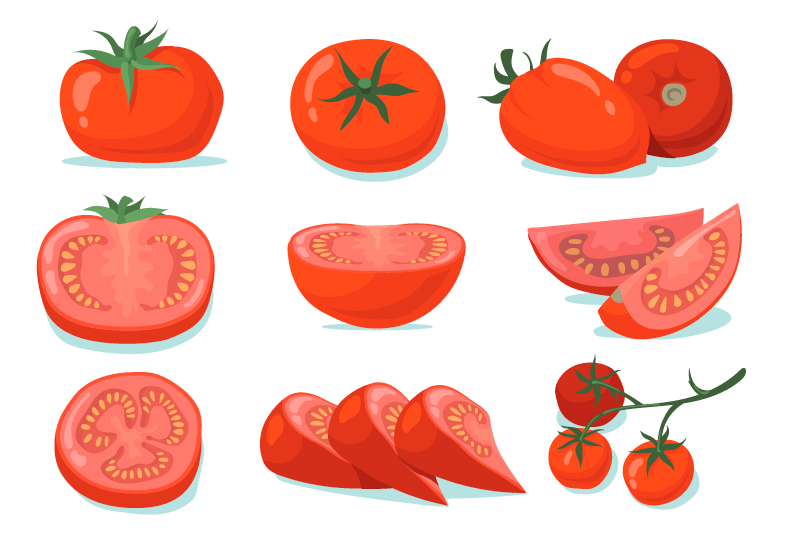 新鲜的西红柿矢量素材(EPS/免扣PNG)
