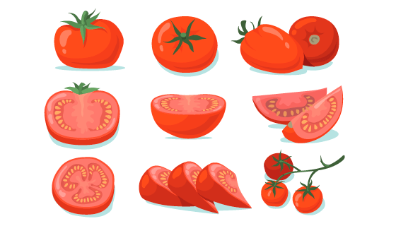 新鲜的西红柿矢量素材(EPS/PNG)