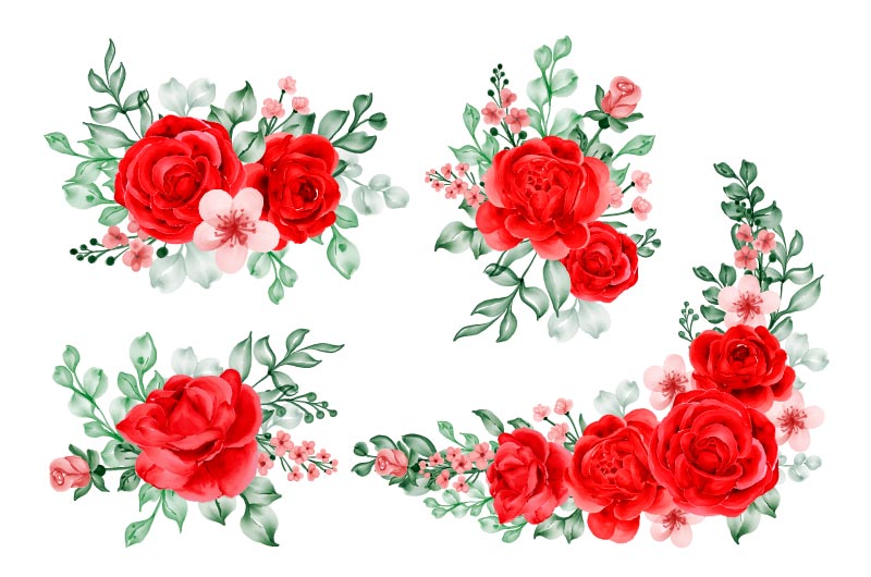 水彩风格的玫瑰花矢量素材(EPS)
