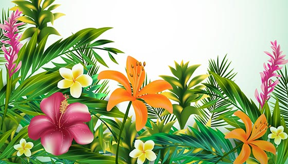 鲜艳的热带花卉矢量素材(EPS/AI)