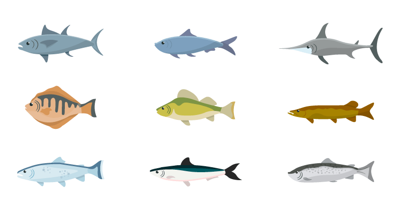 九种不同的鱼类插图矢量素材(EPS/免扣PNG)