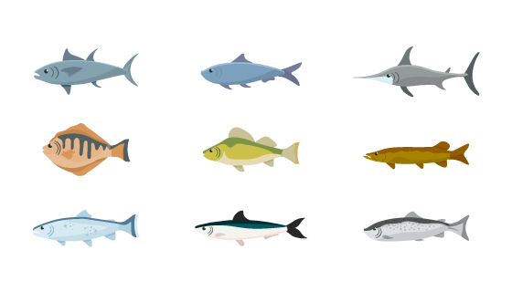 九种不同的鱼类插图矢量素材(EPS/PNG)