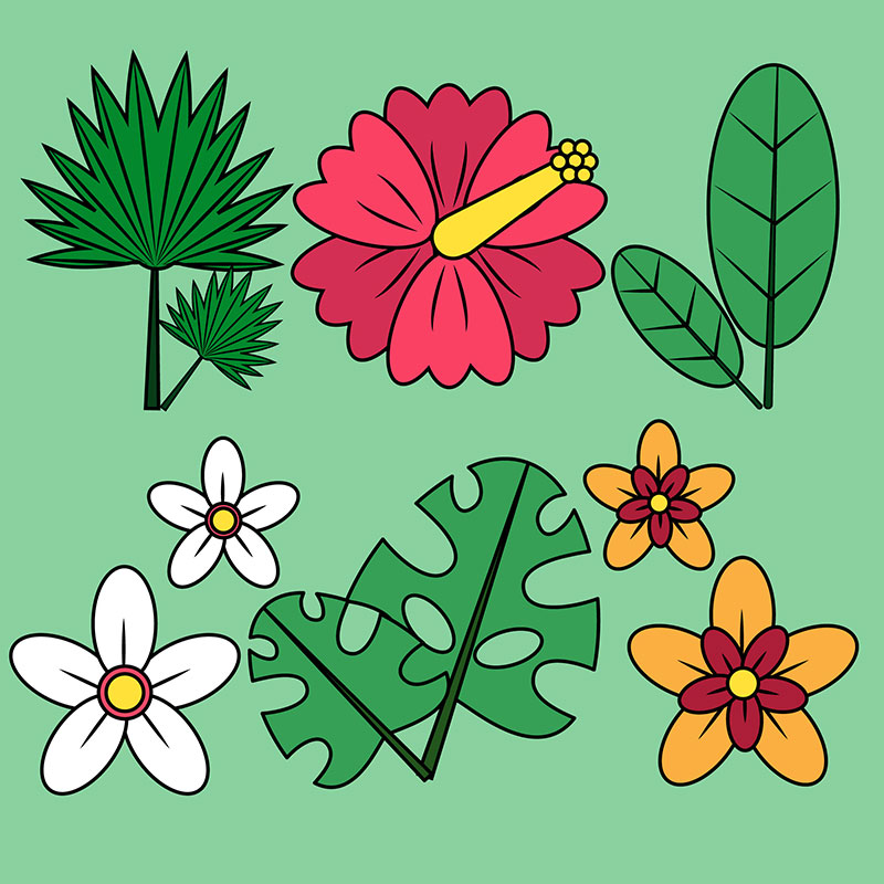 6款漂亮的热带花卉矢量素材(EPS/AI)