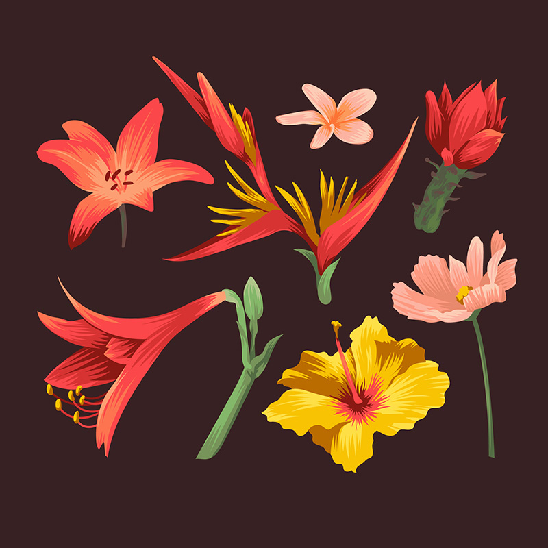热带花卉图案矢量素材(EPS/AI)