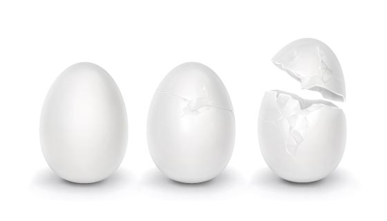 三个逼真的鸡蛋矢量素材(AI/EPS)