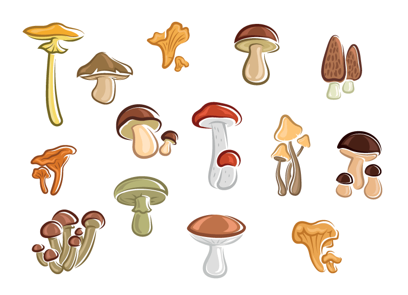 各种各样卡通风格的蘑菇矢量素材(EPS)