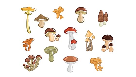 各种各样卡通风格的蘑菇矢量素材(EPS)